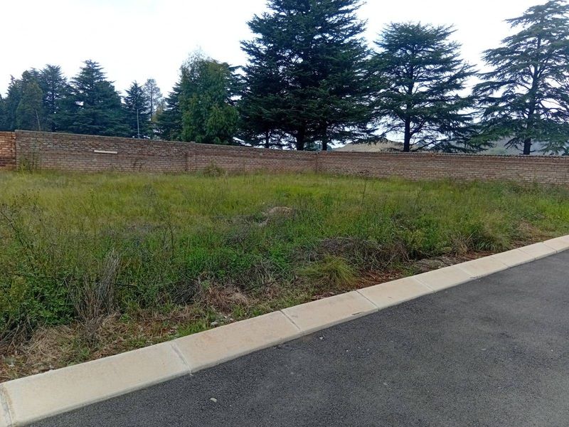 House For Sale In Springs - Photo 3