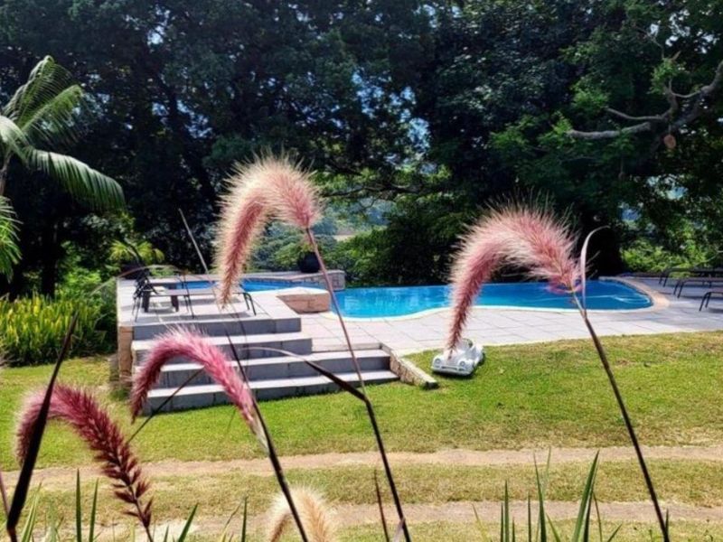 Outdoor swimming pool area featuring a stone-paved deck, concrete steps, and a surrounding landscaped garden with mature trees.