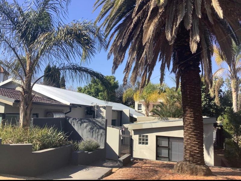 Rear exterior view of the property featuring a paved courtyard, mature palm tree, and modern grey rendered walls with metal roofing.
