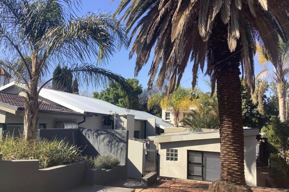 Rear exterior view of the property featuring a paved courtyard, mature palm tree, and modern grey rendered walls with metal roofing.