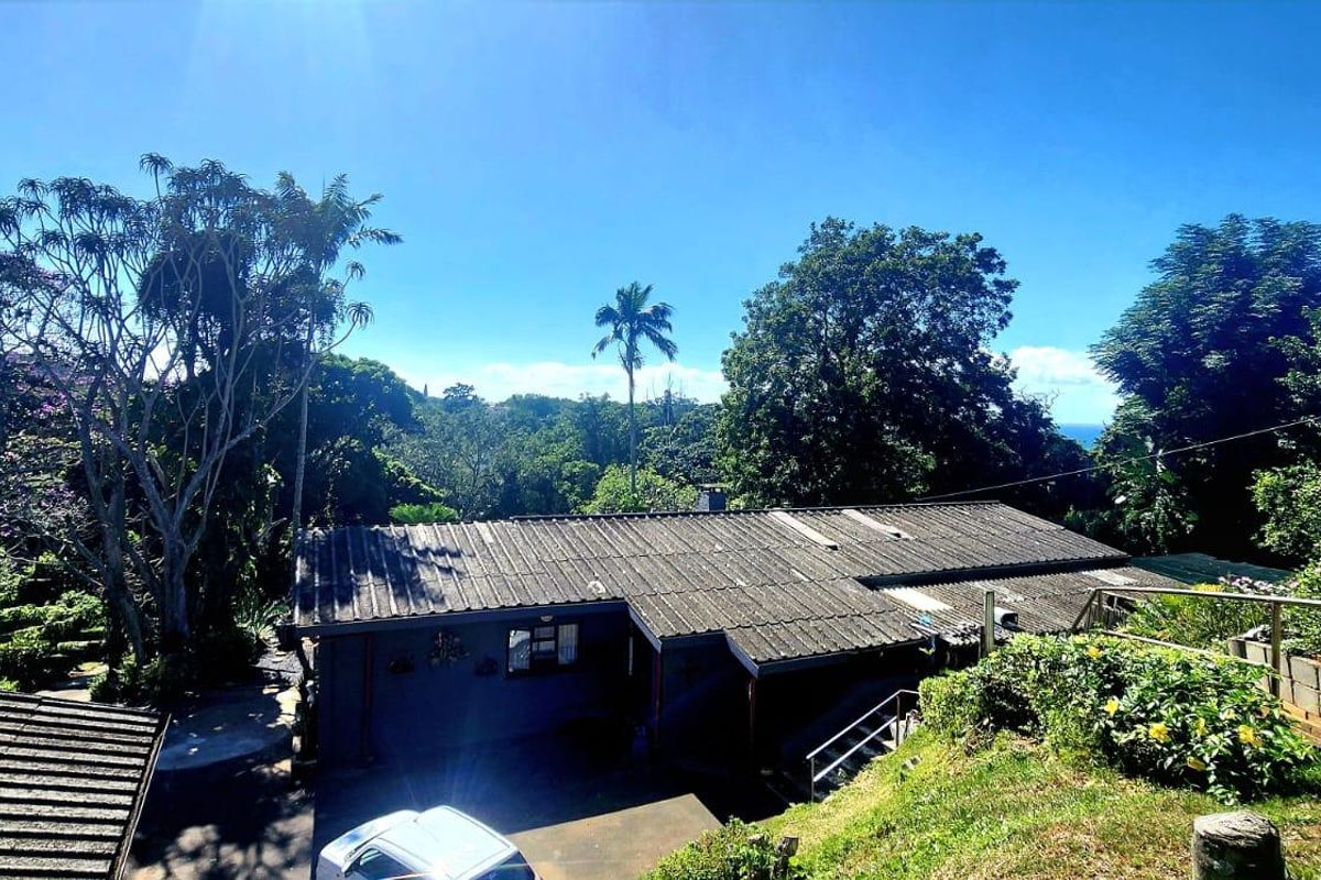 An elevated aerial view of the property showing the roof structure, driveway, and surrounding lush garden landscape.
