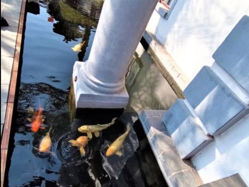 House For Sale In Centurion - Photo 6