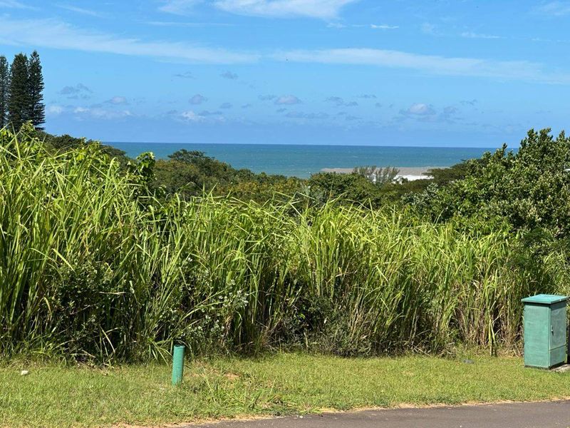 A scenic view of the ocean and surrounding landscape from the vacant residential property.