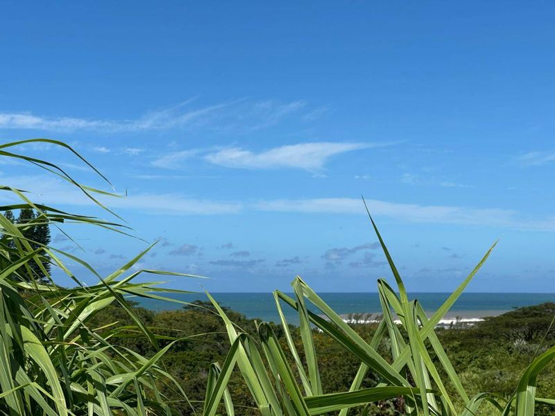 A scenic view overlooking the ocean and surrounding coastal vegetation from the vacant residential property.