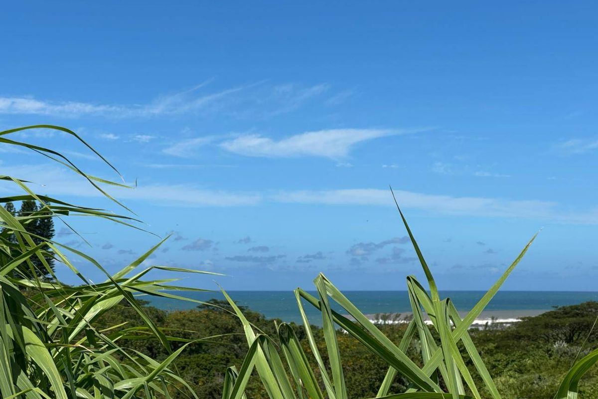 A scenic view overlooking the ocean and surrounding coastal vegetation from the vacant residential property.