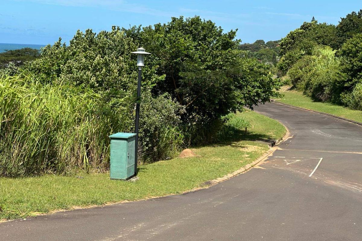 A view of the paved street frontage featuring a utility box and street lighting, surrounded by established greenery and coastal landscape.