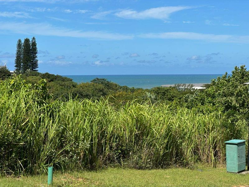A scenic view of the ocean and surrounding coastal vegetation from the vacant residential land.