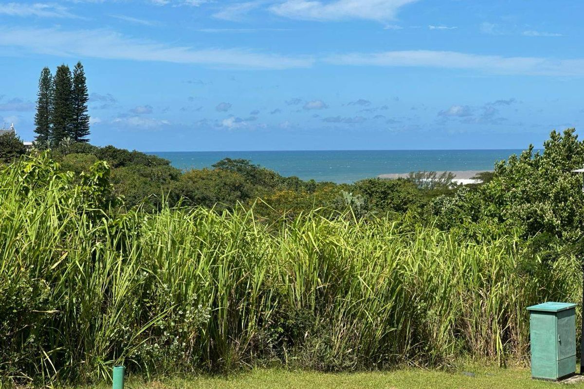 A scenic view of the ocean and surrounding coastal vegetation from the vacant residential land.