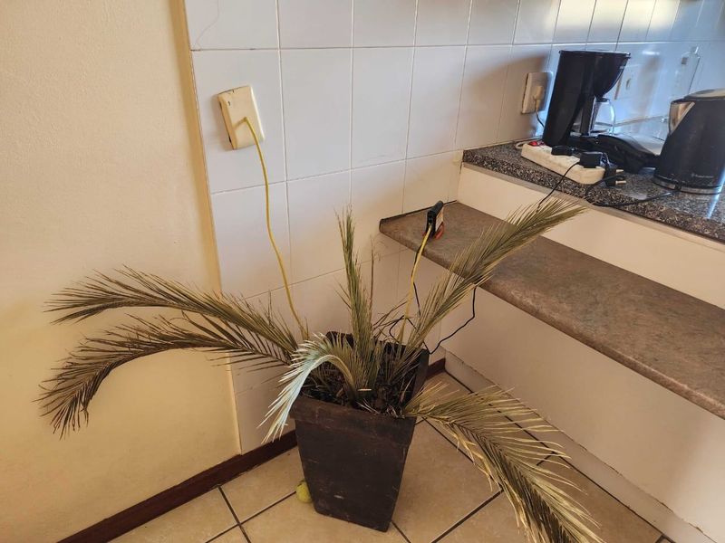Townhouse For Sale In Port Elizabeth - Photo 8