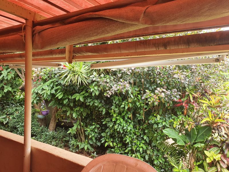 A covered patio area featuring a retractable awning and a low masonry wall, overlooking a dense, established garden.