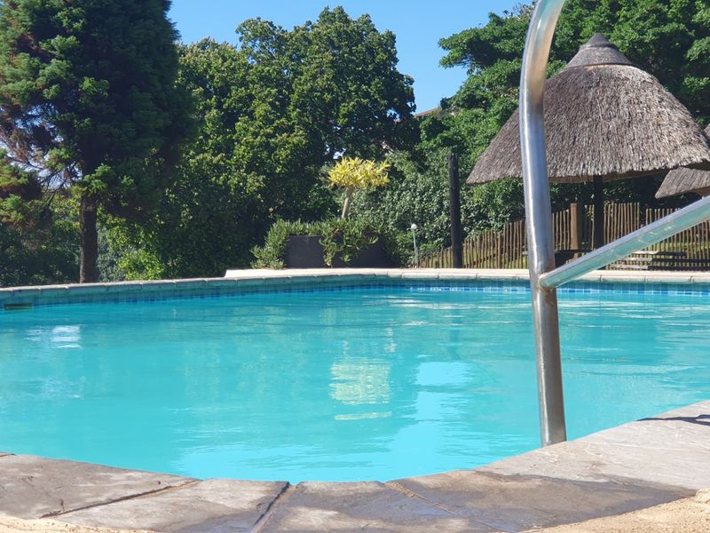 A well-maintained outdoor swimming pool area featuring a stainless steel ladder, stone coping, and a nearby thatched lapa structure.