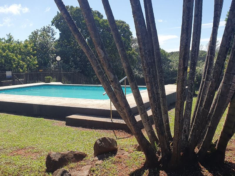 Outdoor swimming pool area featuring a concrete surround, metal handrails, and perimeter fencing set within a garden landscape.