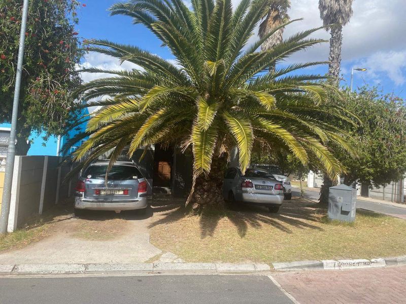 Front exterior view of the property featuring a concrete driveway and a large mature palm tree.