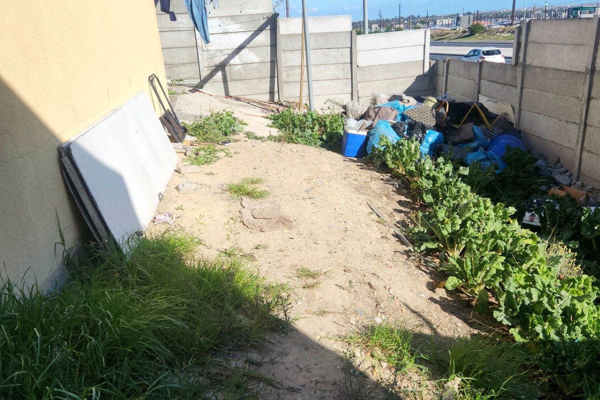 Rear exterior area featuring a precast concrete boundary wall, currently requiring significant clearing of debris and overgrown vegetation to improve the outdoor space.