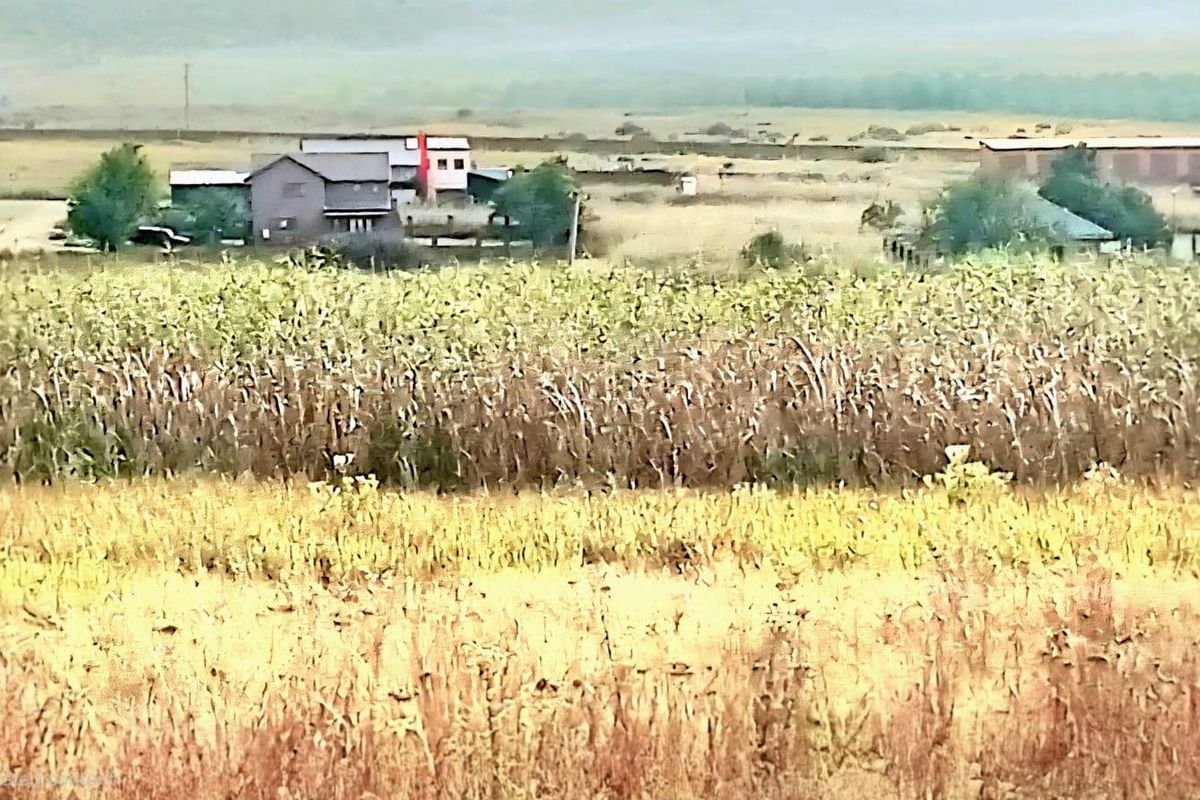 A distant view of rural landscape and neighboring structures, showcasing the open nature of the vacant residential land.