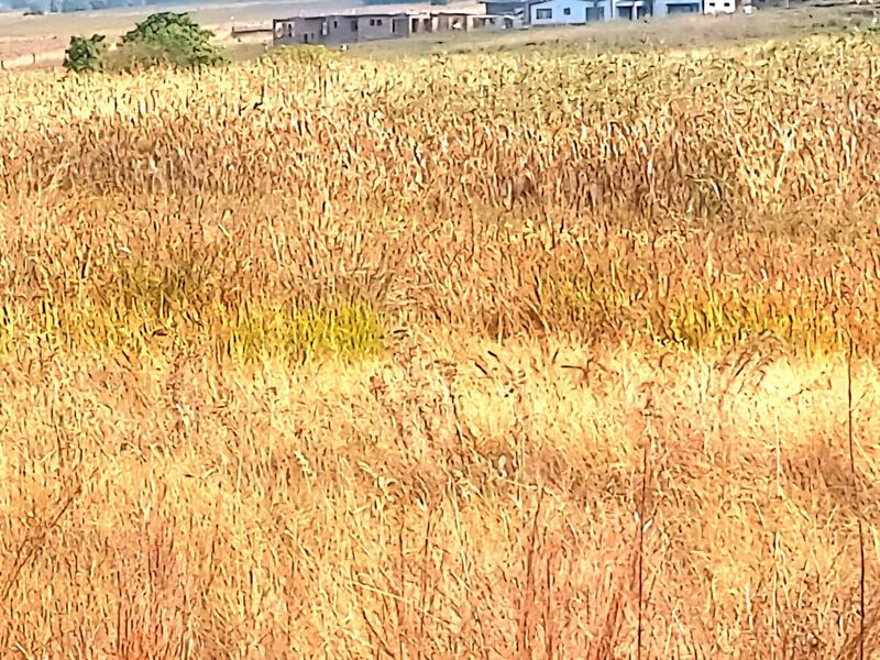 Vacant Land For Sale In Bronkhorstspruit - Photo 1