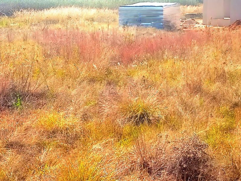 A view of a vacant residential plot featuring overgrown dry grass and a small corrugated metal storage structure in the background.