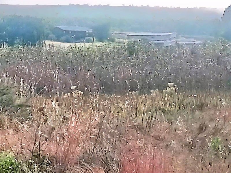 A wide-angle view of the vacant residential land, featuring natural vegetation and distant structures on the horizon.