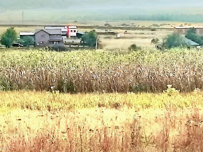 A distant view of rural landscape and neighboring structures, showcasing the open nature of the vacant residential land.