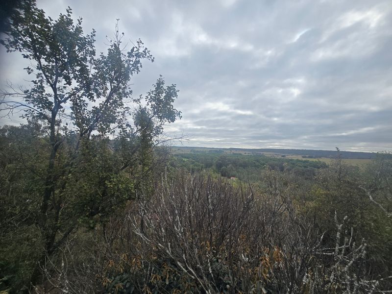 Farm For Sale In Cullinan - Photo 2