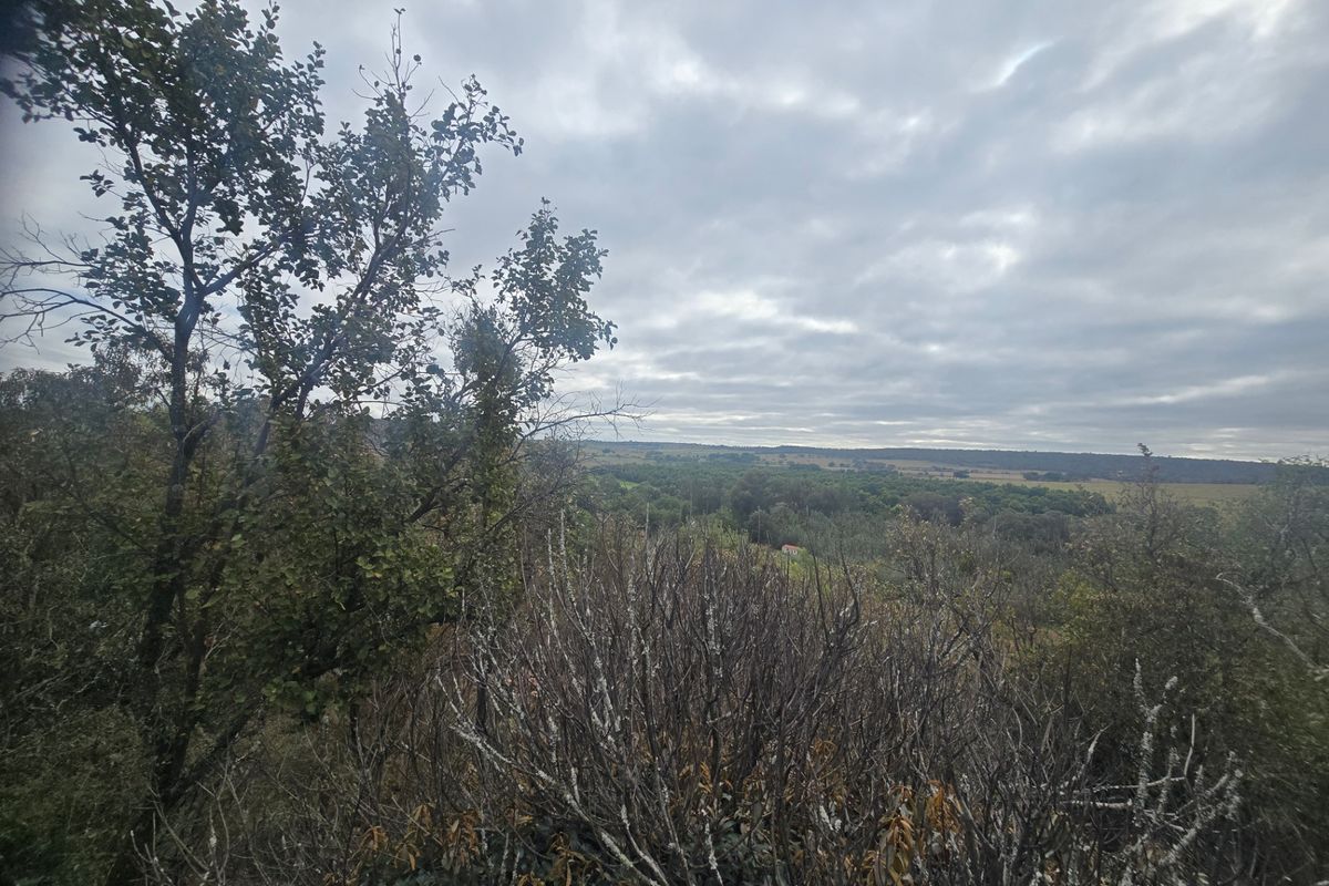 Farm For Sale In Cullinan - Photo 2