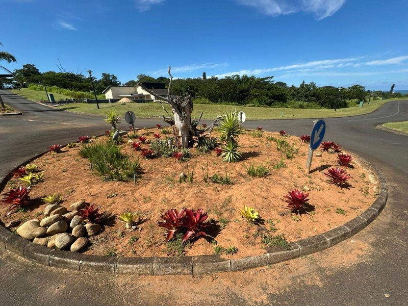 A view of a landscaped roundabout within a residential estate, featuring established plantings and paved road infrastructure.