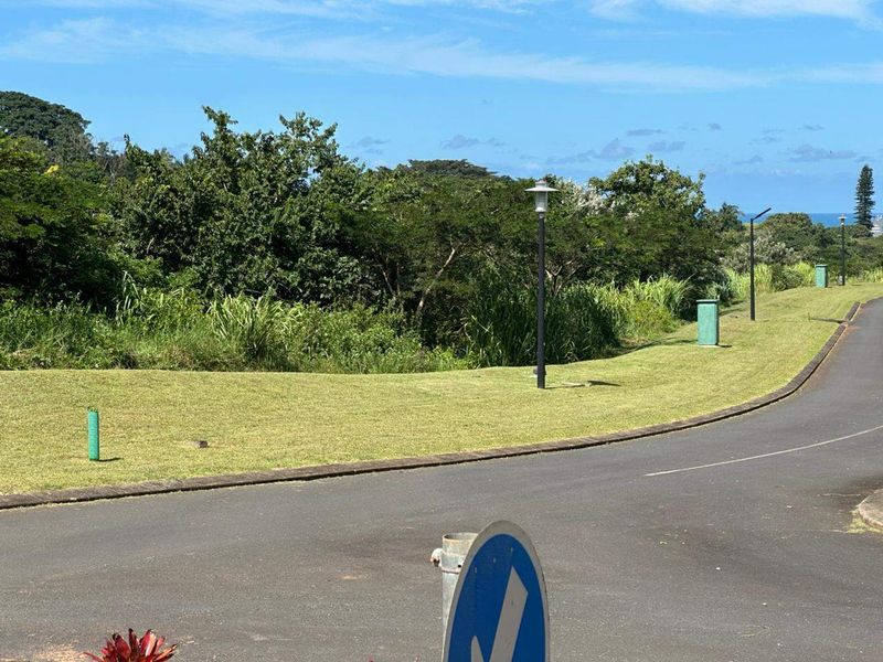A view of the paved street and landscaped verge area within the residential estate, featuring established street lighting and manicured grass.