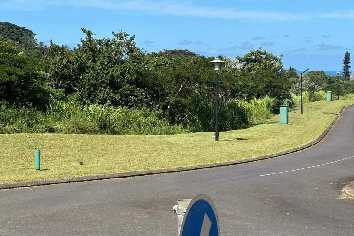 A view of the paved street and landscaped verge area within the residential estate, featuring established street lighting and manicured grass.