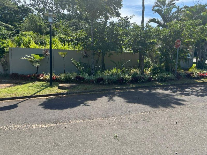 A street-level view of the property boundary, featuring a well-maintained perimeter wall, established garden landscaping, and an adjacent paved road.