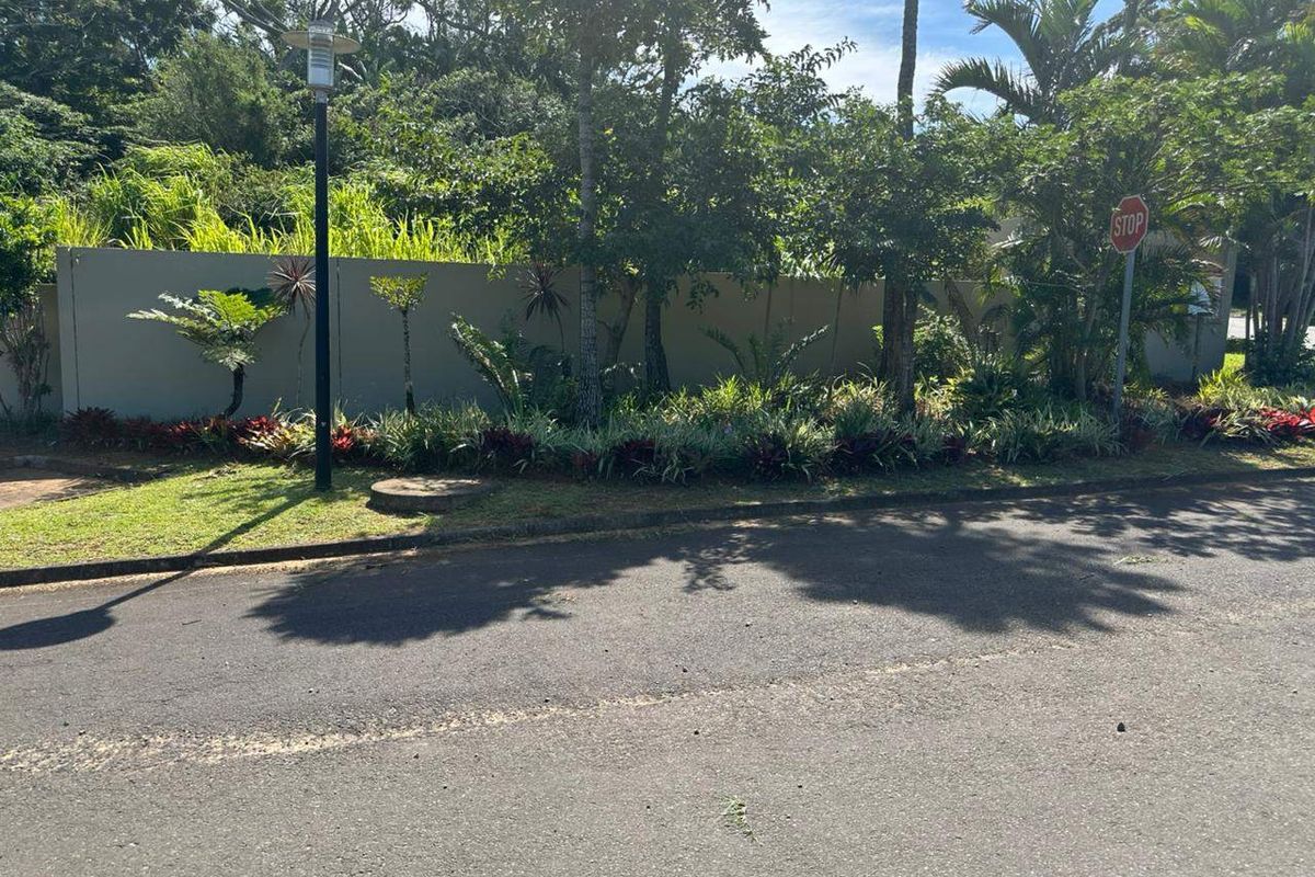 A street-level view of the property boundary, featuring a well-maintained perimeter wall, established garden landscaping, and an adjacent paved road.