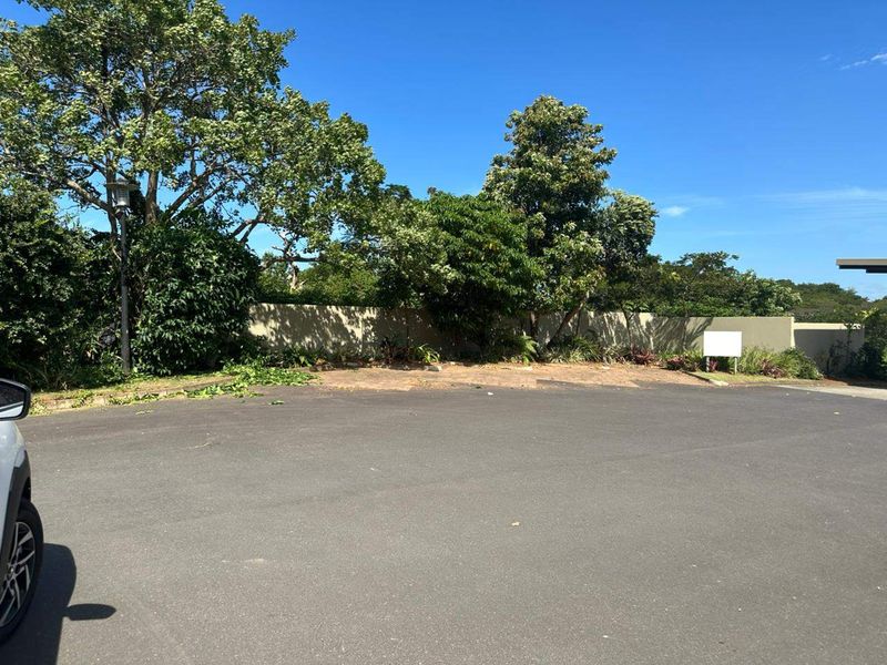 A view of the front exterior area featuring an asphalt driveway, a solid boundary wall, and established trees.