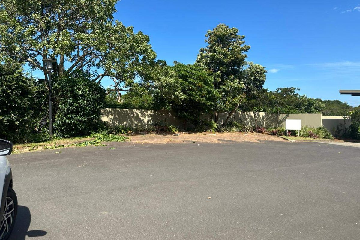 A view of the front exterior area featuring an asphalt driveway, a solid boundary wall, and established trees.