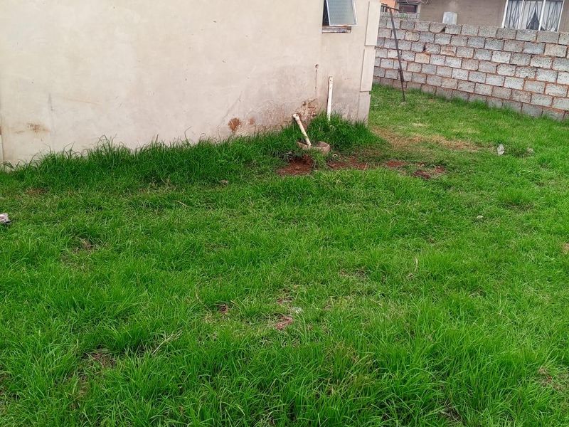 Rear exterior view of the property showing a grassed yard, concrete block boundary wall, and exposed exterior wall finishes.