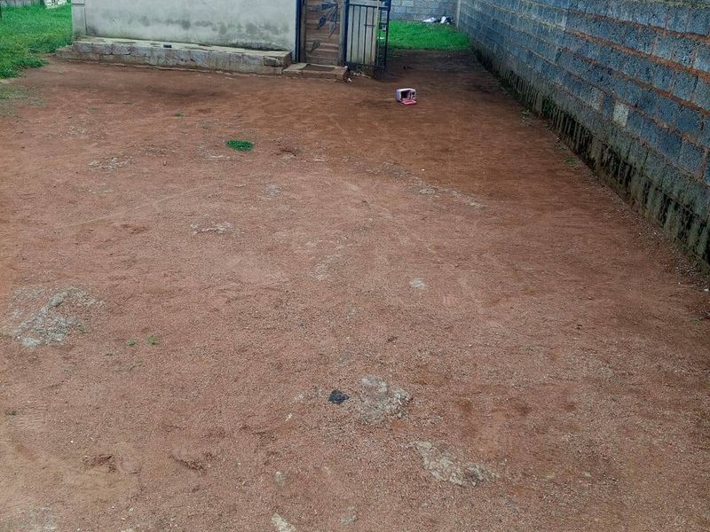 A spacious rear yard featuring an outbuilding, enclosed by boundary walls, offering significant potential for landscaping and outdoor improvement.