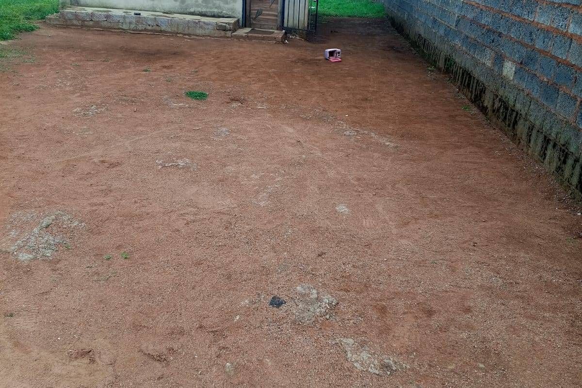 A spacious rear yard featuring an outbuilding, enclosed by boundary walls, offering significant potential for landscaping and outdoor improvement.