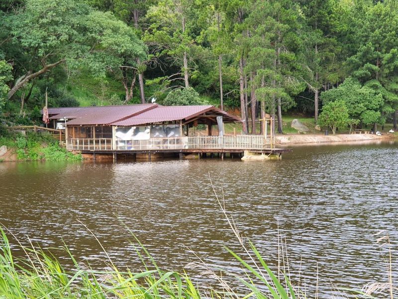 A rustic timber structure built on a deck overlooking a serene lake, surrounded by mature trees and natural landscape.