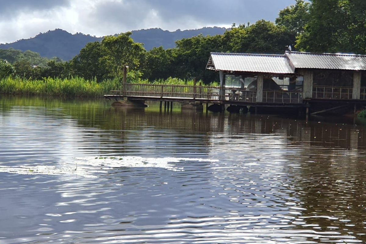 A scenic view of a lakeside structure featuring a wooden deck and metal roof, set against a backdrop of lush trees and mountains.