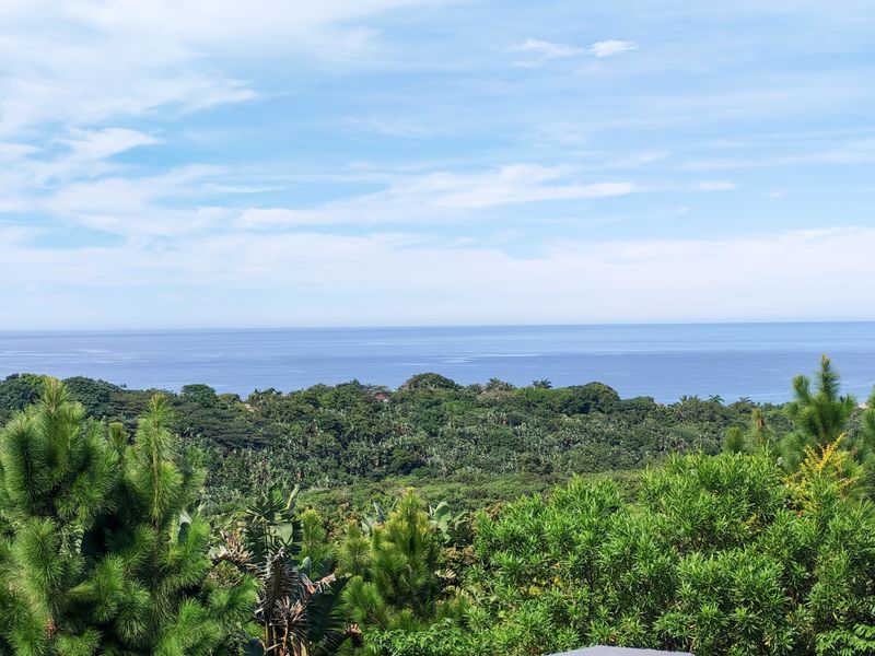 A scenic elevated view overlooking lush coastal vegetation and the open ocean horizon.