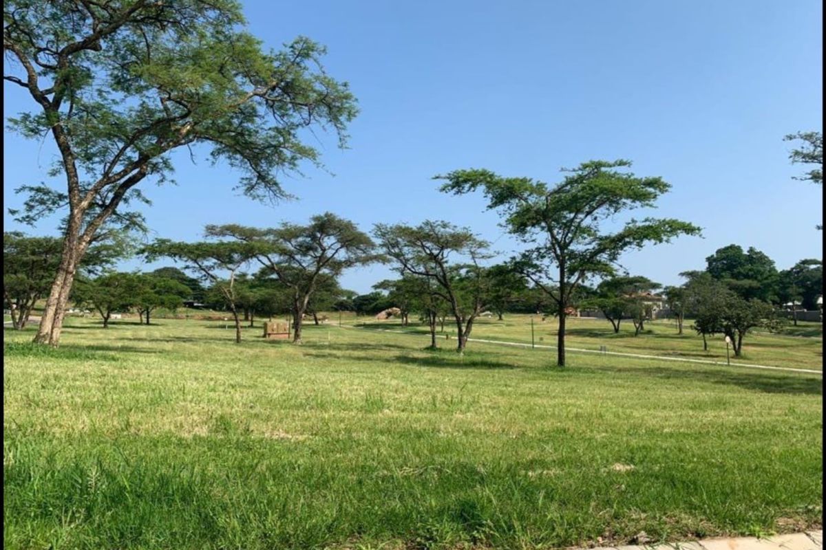 Vacant Land For Sale In Tzaneen - Photo 5