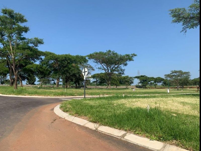 A view of a residential vacant land plot featuring paved road access, concrete curbing, and established trees in a quiet neighborhood setting.