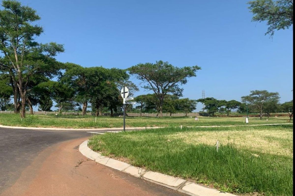 A view of a residential vacant land plot featuring paved road access, concrete curbing, and established trees in a quiet neighborhood setting.