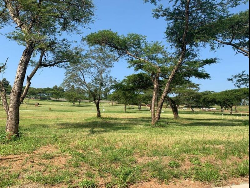 A spacious, level residential vacant land plot featuring established mature trees and open grassy areas, ideal for future development.