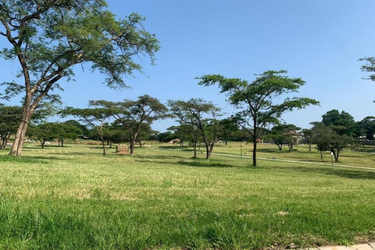 A spacious, well-maintained vacant residential plot featuring established trees and a level grass lawn, offering a clear site for future development.