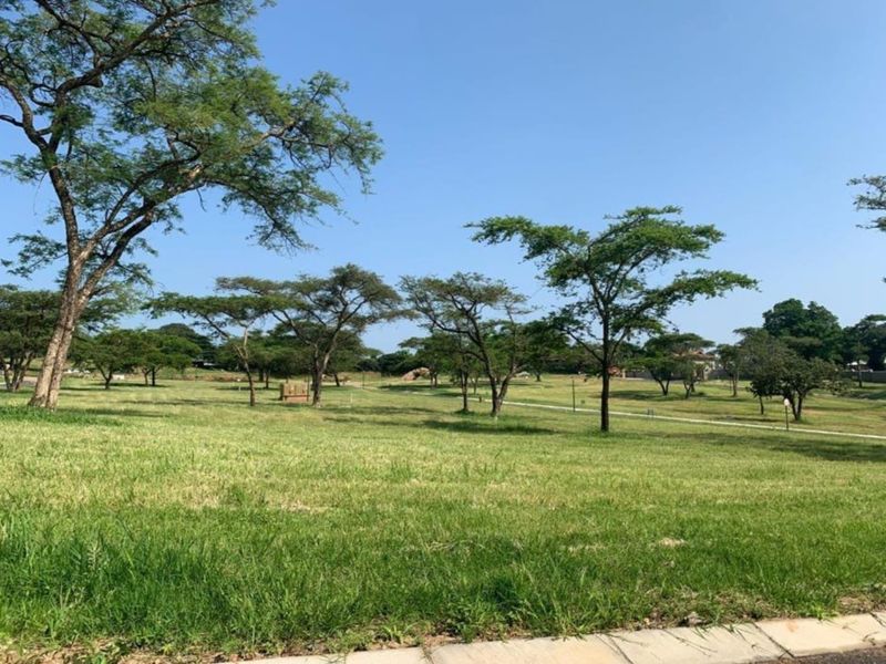 A spacious, well-maintained vacant residential plot featuring established trees and a level grass lawn, offering a clear site for future development.