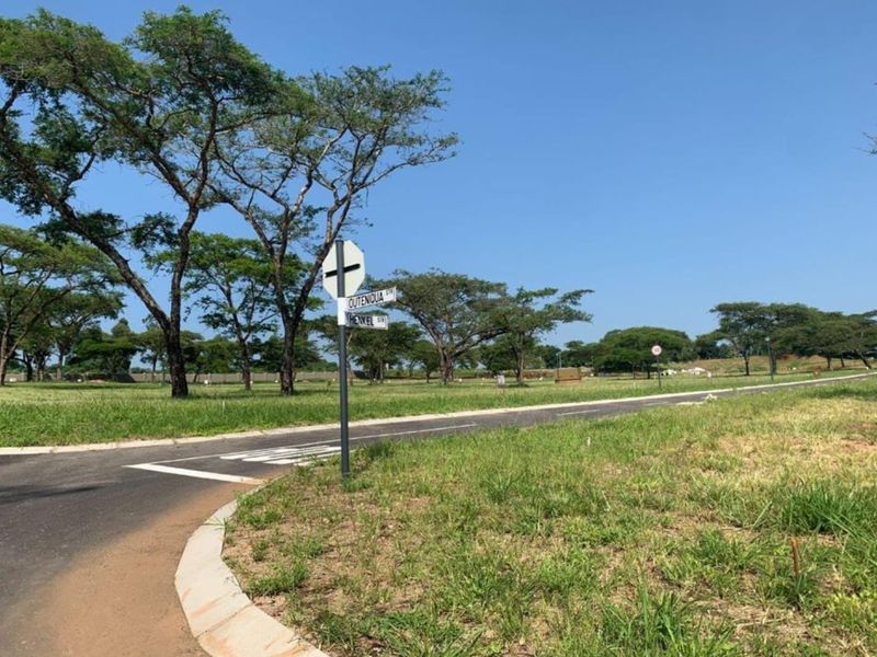 A view of a paved residential street corner with established trees and clear signage in a vacant land development.