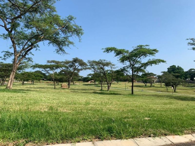 A spacious, well-maintained vacant residential plot featuring established trees and a level grass lawn, ready for development.