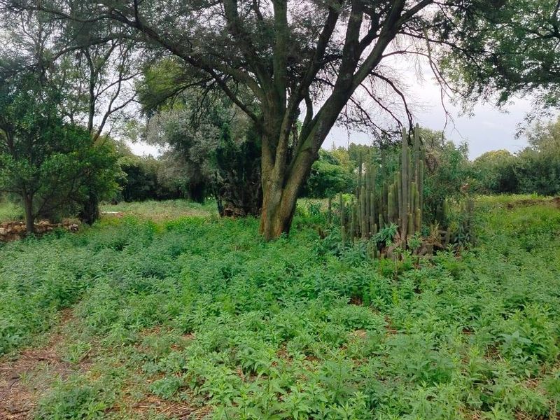 Vacant Land For Sale In Meyerton - Photo 2