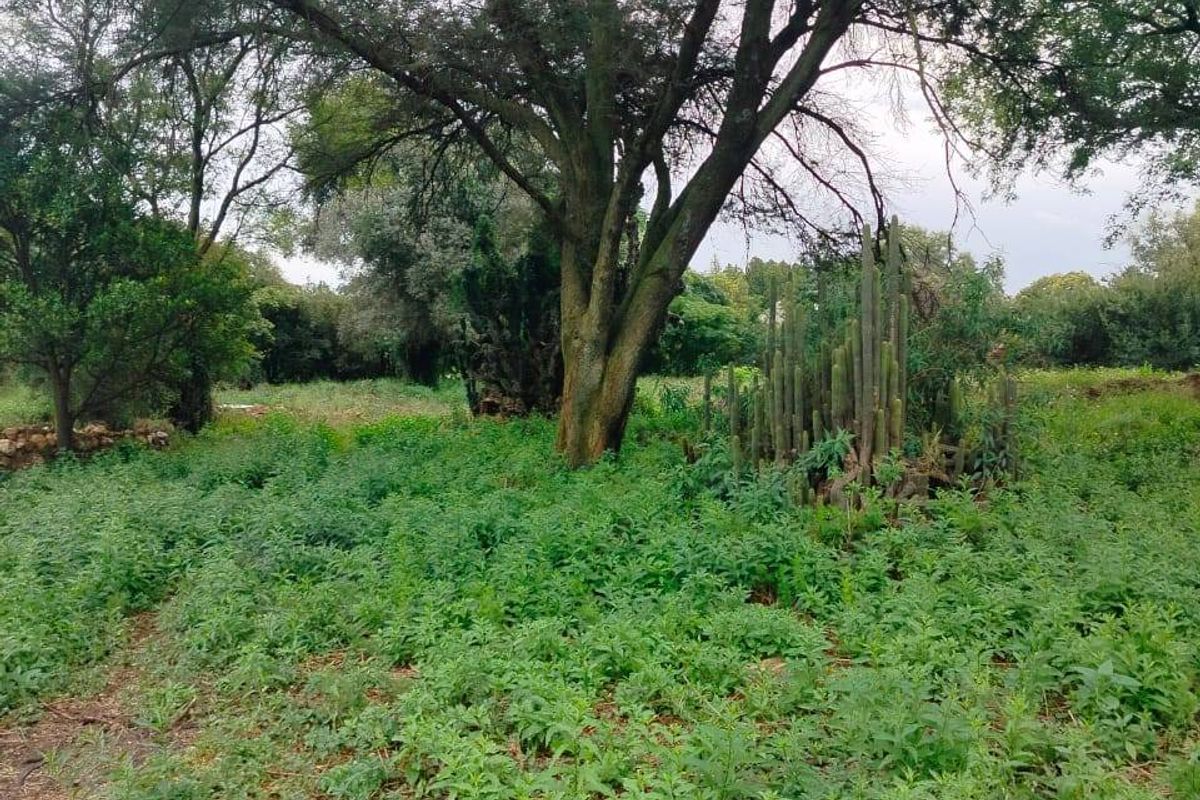 Vacant Land For Sale In Meyerton - Photo 2