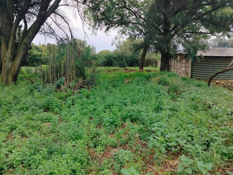 Vacant Land For Sale In Meyerton - Photo 3