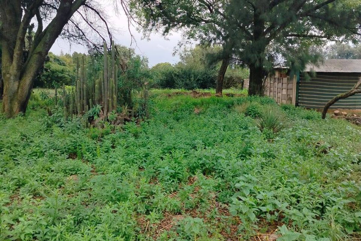 Vacant Land For Sale In Meyerton - Photo 3